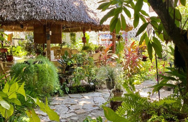 Hostal Casa Huasteca