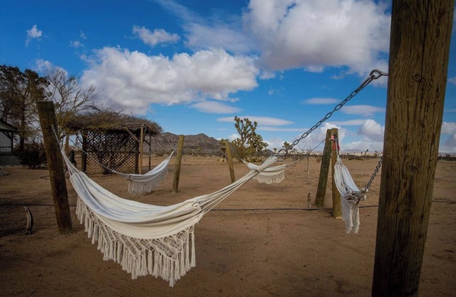 Hot Spa + Stargazing | Dogs Welcome Here