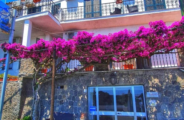 Hotel Bellavista