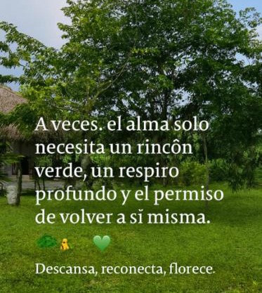 Hotel - CABAÑAS THAJU - HUASTECA POTOSINA