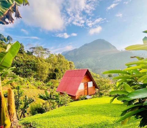 Hotel Cabañas Villa Loe Jardín