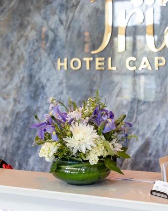Hotel Cape Cod