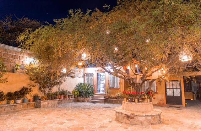 Hotel Casa del Arbol