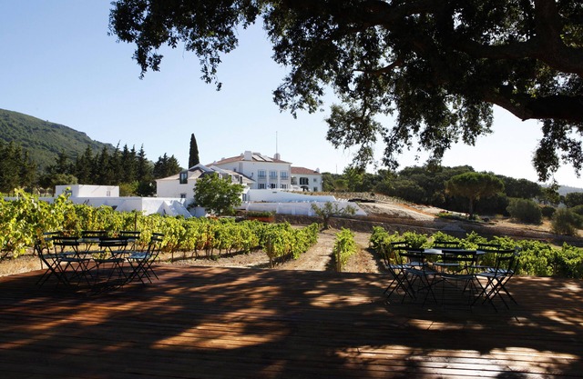 Hotel Casa Palmela