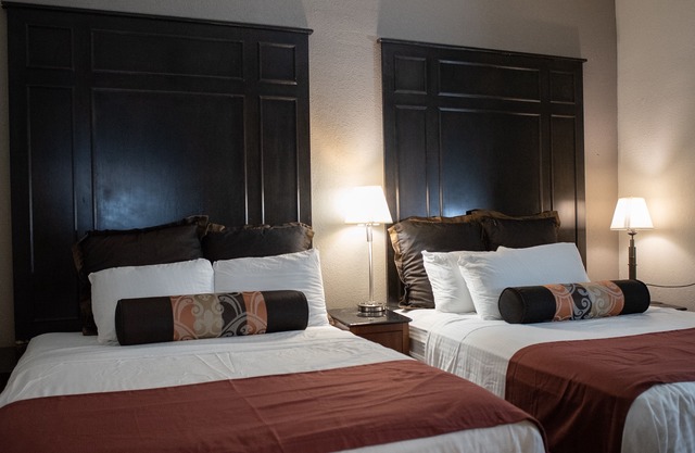 Hotel Chataura