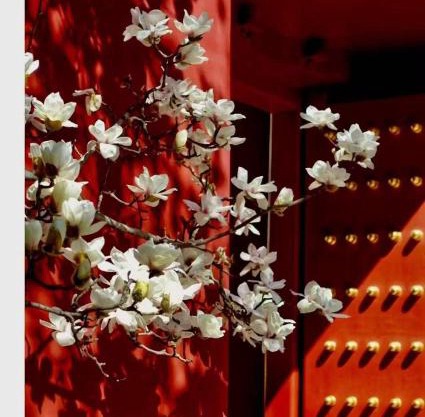 Hotel Cote Cour Deductive Beijing - Quadrangle close to Tiananmen Square & Forbidden City & Nanluoguxiang, Walk to Wangfujing, English speaking, Free WiFi, Free Laundry, Free Wonton & Noodles with Tour ticket service, Free selfies with ancient costume
