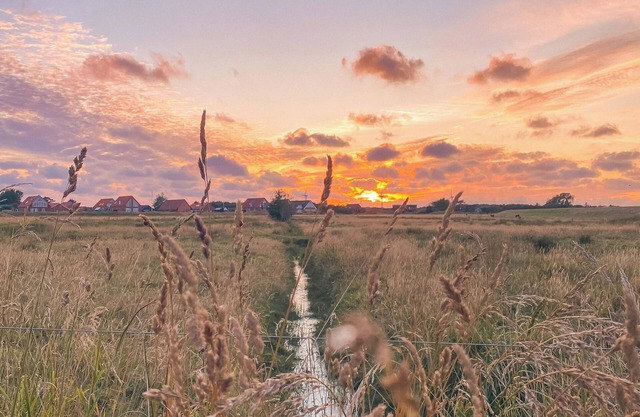 Fanø Night & Stay