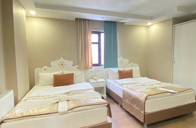 Hotel Kent Ani