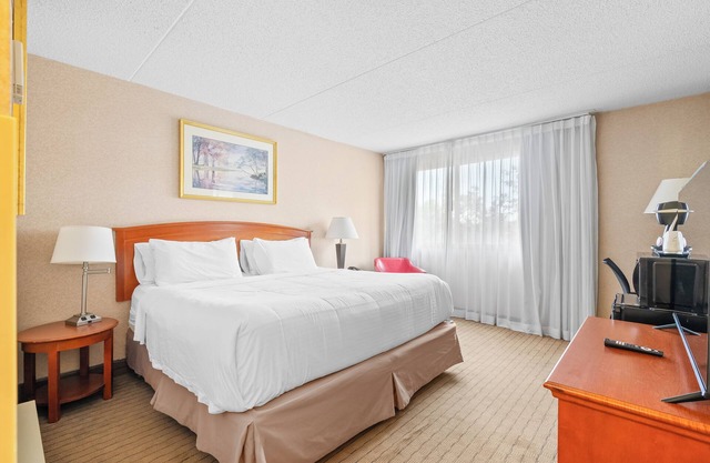 Hotel King Suite near Parking, AC, Gym, Pool