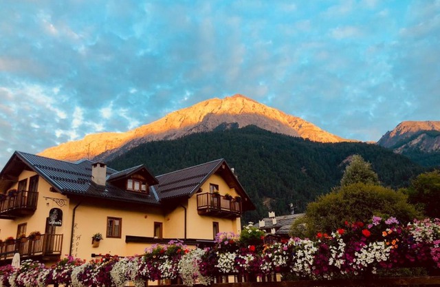 HOTEL LA GINESTRA