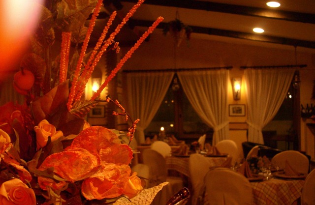 Hotel Lento