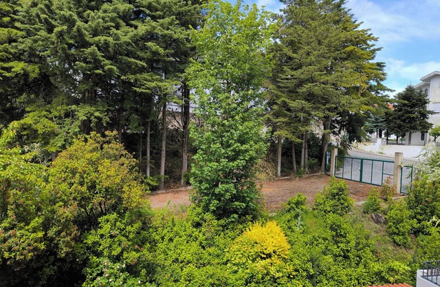 Hotel Mira Serra