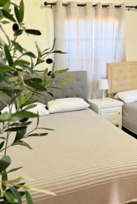 Hotel Mision Ferrer