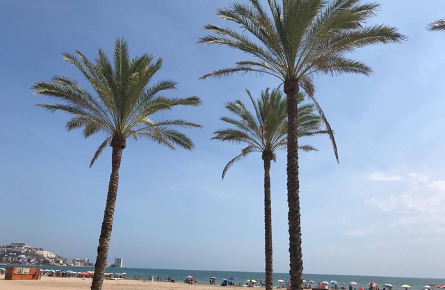 Hotel Moon Dreams Cullera