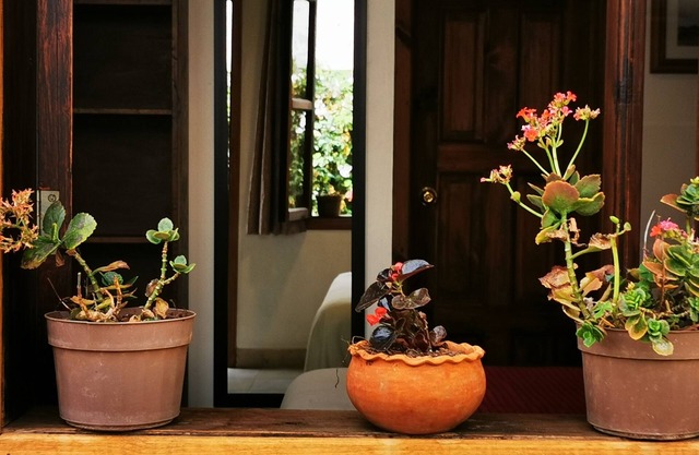 Hotel Ocho Barrios