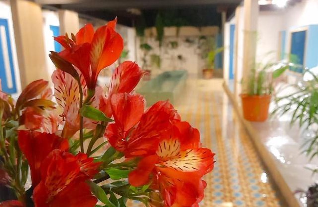 Hotel Pepen