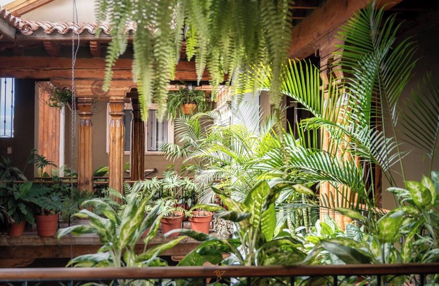 Hotel Rincón de Josefa