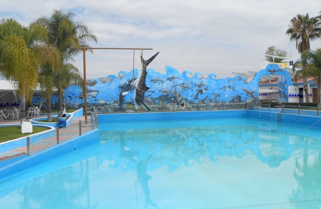 Hotel Splash Inn
