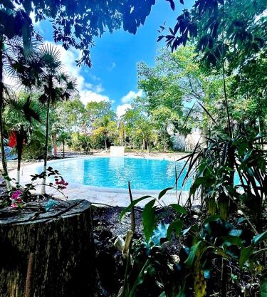 Hotel Tequila Cancun