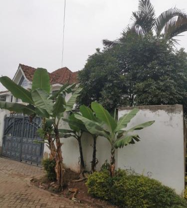 House 21,Cedar Groove