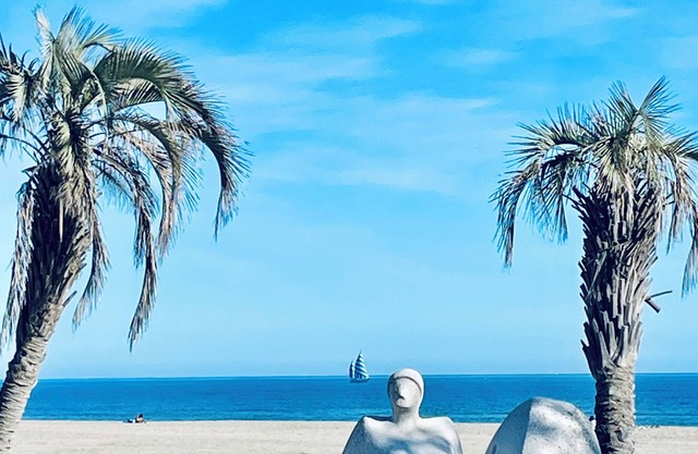 House 4 bedrooms 200 beach Canet