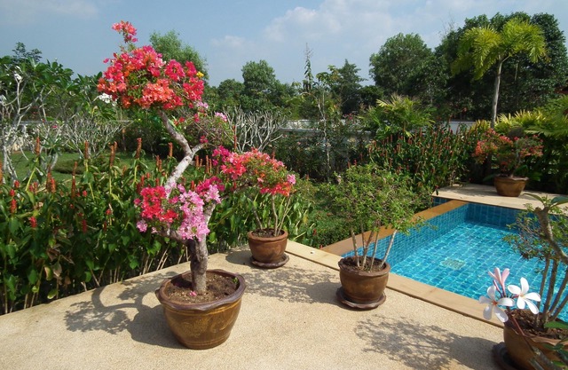 Haus mit Pool mit Blick auf den Ozean. Frühstück, WLAN, Reinigung ... inklusive
