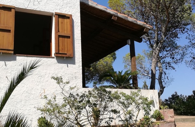 Haus mitten im Kiefernwald