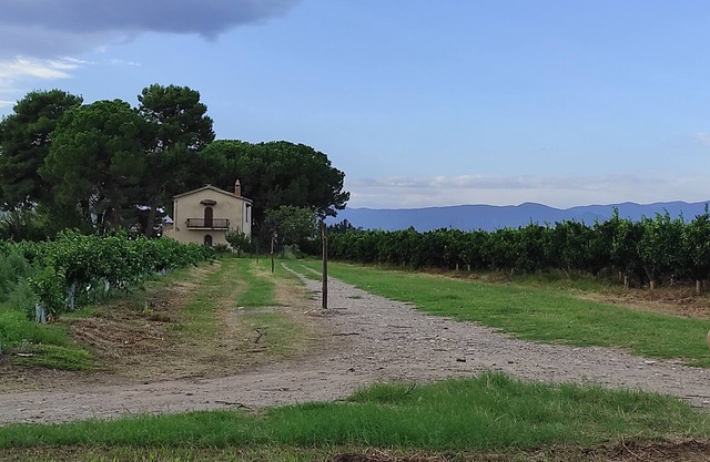 Haus in einen romantischen Zitrushain, private Zugang zum Strand.Relax und Ruhe!