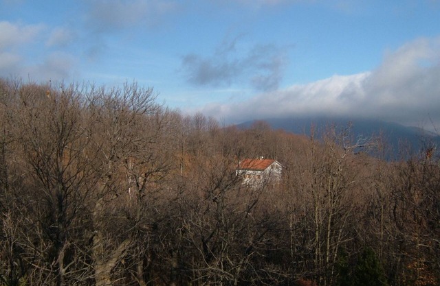 Haus im Wald Osiglia, Ligurien