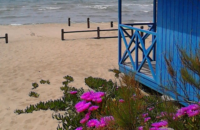 Haus am Meer nur wenige Schritte vom Strand Mortelliccio entfernt!