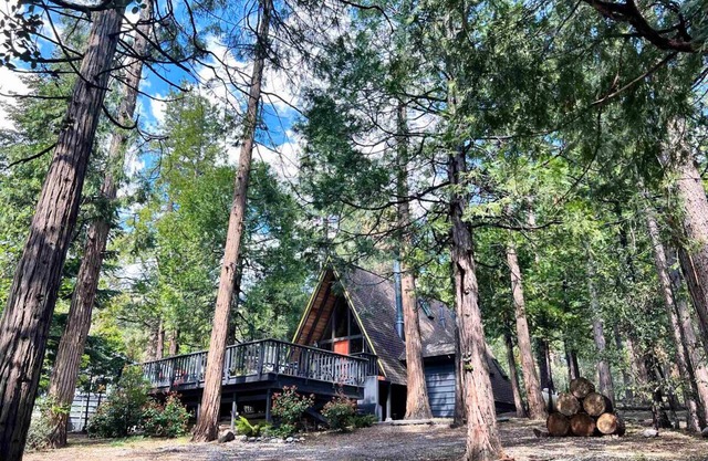 House Little Bird Woodsy Retro A-Frame Cabin with Hot Tub