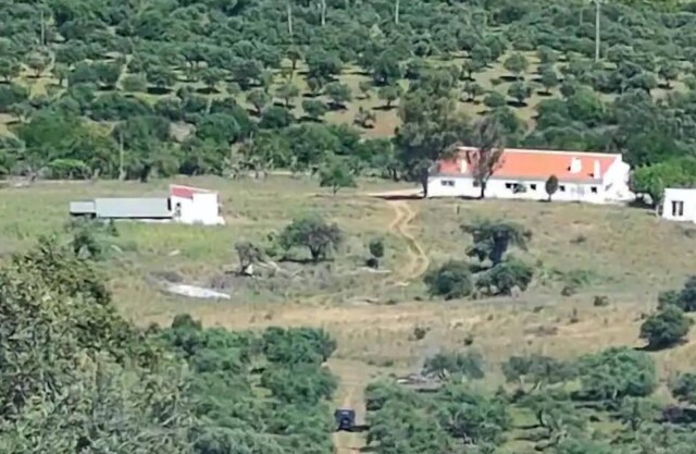 House near Elvas on Olive Farm