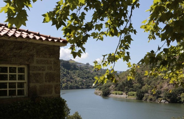 Haus von Figueira Velha | Resende | Douro