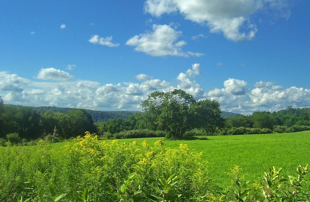 Haus am Appalachian Trail, nur wenige Gehminuten von den Zügen in NYC entfernt. 3bd / 1ba, 3 Morgen