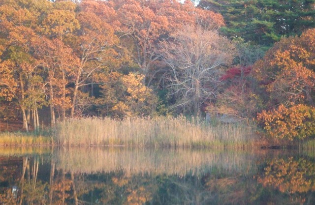 House on Chase Creek