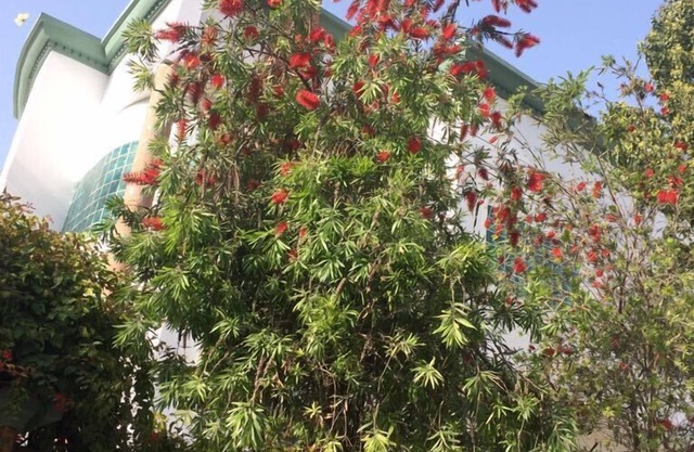 Ferienhaus / Villa - CASABLANCA