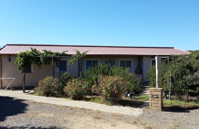 Ferienhaus mitten in einem Olivenhain und Mittelmeermacchia