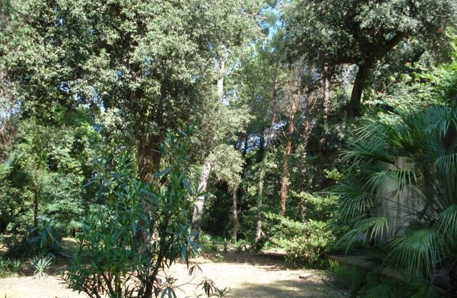 Haus mit Garten und Pinienwald