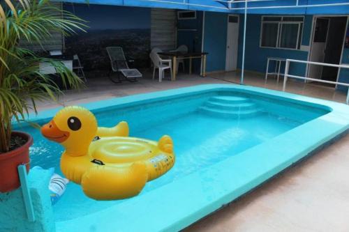 House With a Pool
