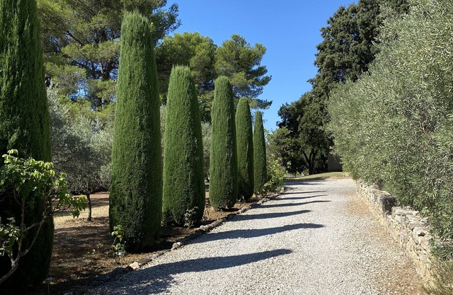 Haus mit ruhigem Pool, Süd-Luberon, zwischen Weinbergen und Olivenbäumen