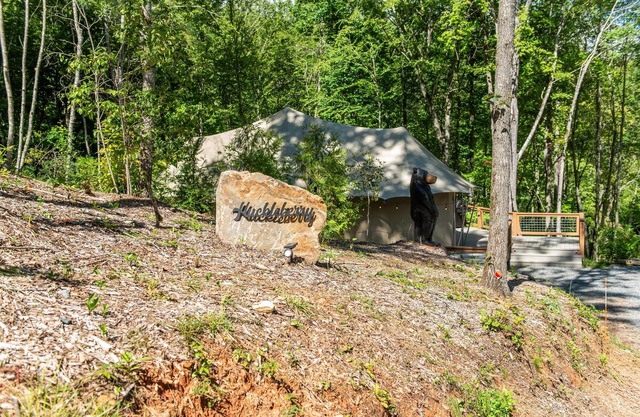 Huckleberry, Upscale & Cozy Stunning Glamping near GSMNP, Authentic Safari Tent