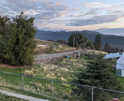 Hummingbird Hill