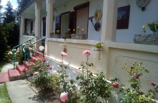 Hungarian old village guest house