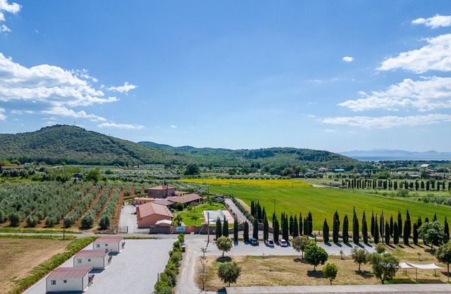 I Girasoli by Interhome