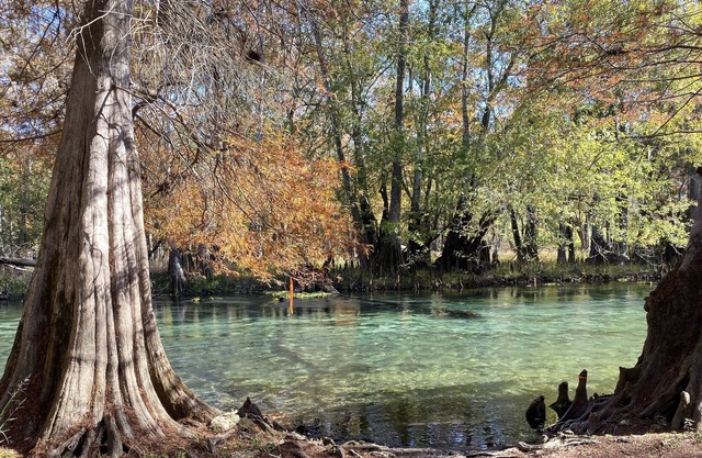 Schlauch die Ichetucknee und Santa Fe Flüsse