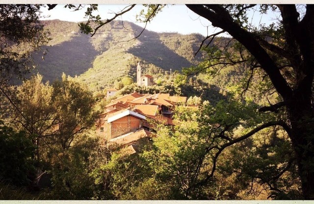 ideal for family, active or relaxing holidays - a paradise in the country