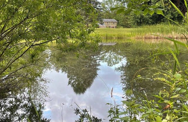 Idyllic retreat with pond, just steps from Port Bay-rare Labor Day availability!