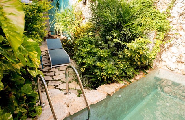 Iguana Maya House, private house in the center of Merida