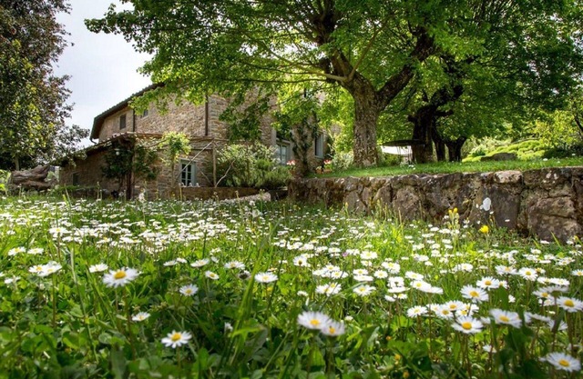 Die Wilderer, Luxus in Chianti - Wifi, Pool, Parkplatz