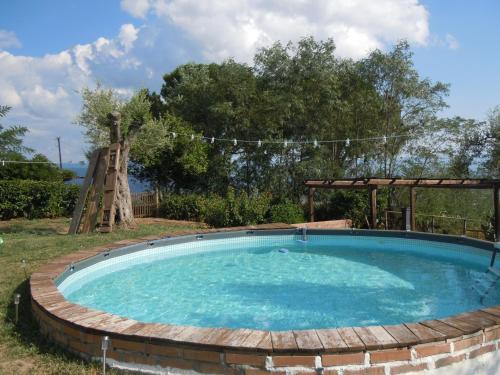 Il colle degli ulivi